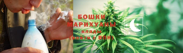 молекула духа Липки