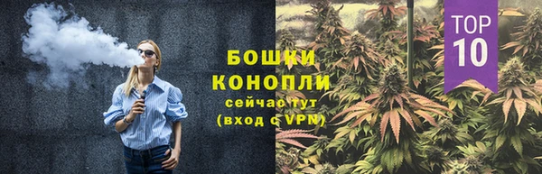 молекула духа Липки