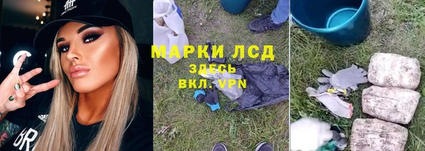 молекула духа Липки