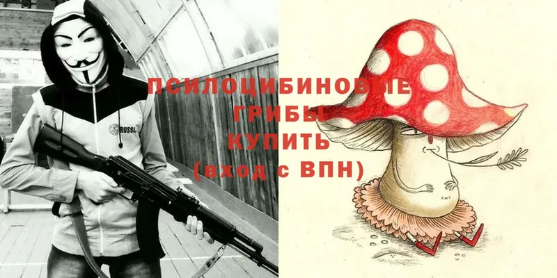 мега tor  где найти   Дно  Галлюциногенные грибы Magic Shrooms 