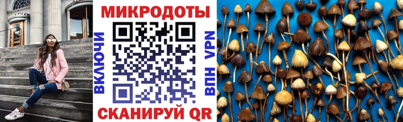 маркетплейс какой сайт  купить наркотик  Дно  Галлюциногенные грибы мицелий 