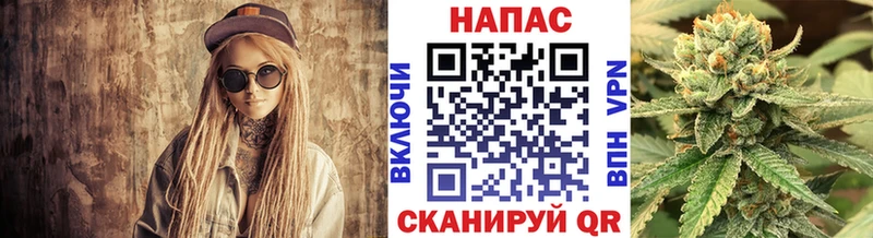 Шишки марихуана план  Дно 